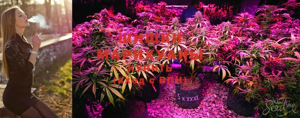 дурь Магадан