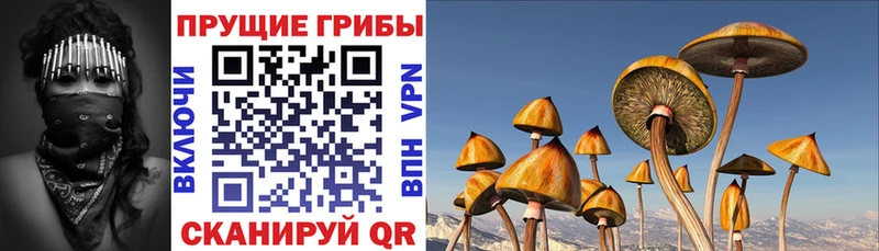 Галлюциногенные грибы Magic Shrooms  Купить где  Кострома 